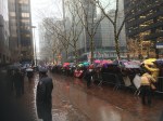 Hundreds rallied in the rain outside NYC offices of Senators Schumer and Gillibrand